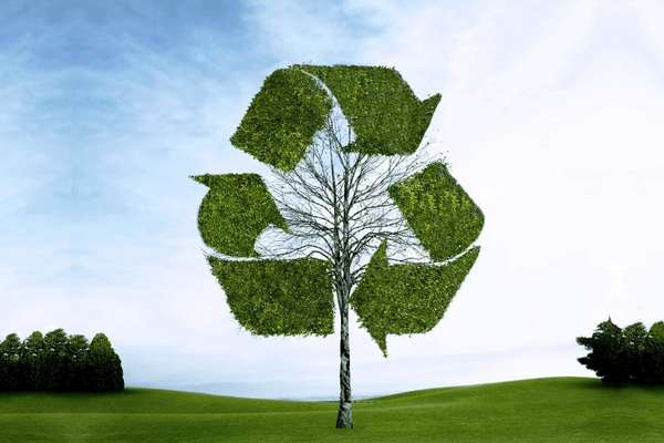 Arbre avec un panneau de recyclage en feuilles