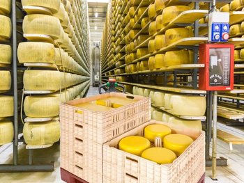 contenedores para maduración de queso en una fábrica de queso