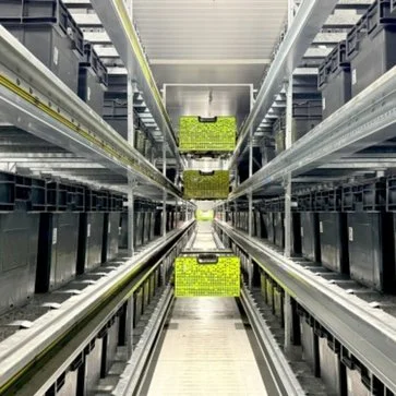 Usprawniona logistyka dla E.Leclerc Drive dzięki inteligentnym pojemnikom Utz