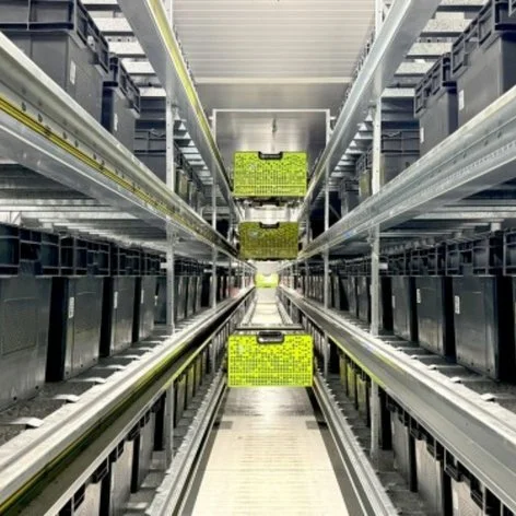 Optimierte Logistik für E.Leclerc Drive mit Utz Smart Behältern